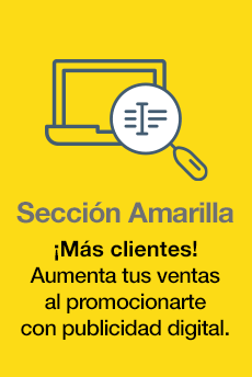 Sección Amarilla