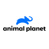 Canal animal planet