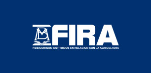 logo fira